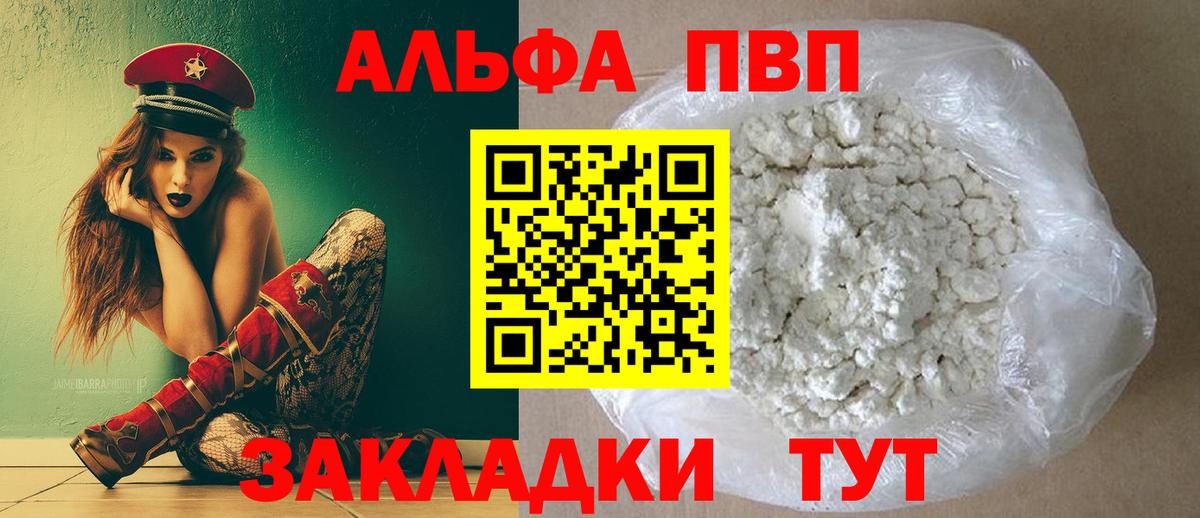 Alfa_PVP СК Калининград