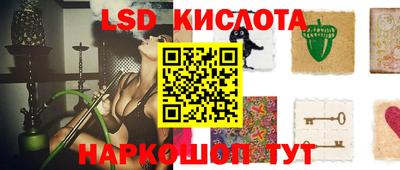 PSILOCYBIN Кунгур