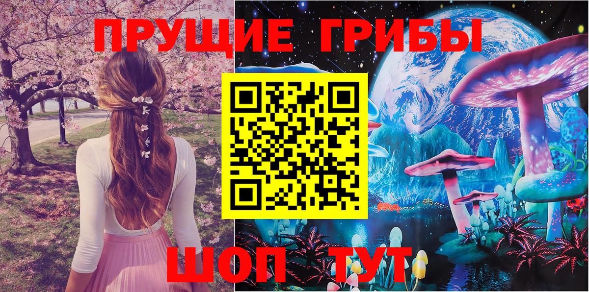 Калининград  Псилоцибиновые грибы GOLDEN TEACHER  Вход с VPN 